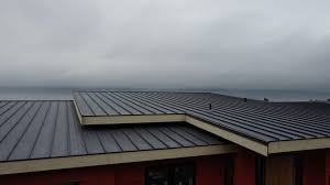 Best Storm Damage Roof Repair  in Otsego, MN